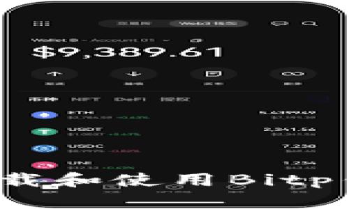 如何安全下载和使用Bitp钱包新版本？