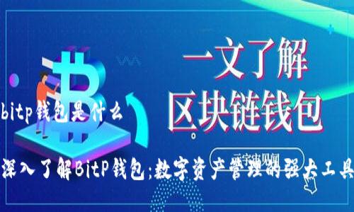 bitp钱包是什么

深入了解BitP钱包：数字资产管理的强大工具
