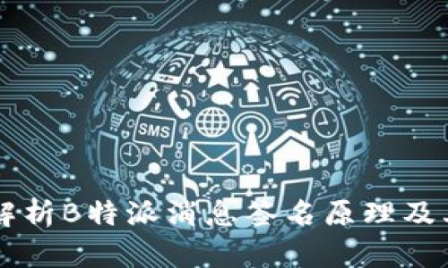 深入解析B特派消息签名原理及其应用