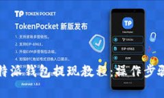 全面了解比特派钱包提现教程：操作步骤与注意