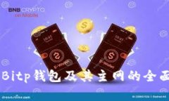 了解Bitp钱包及其主网的全面指南