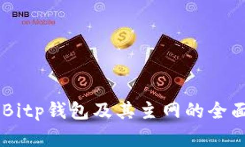 了解Bitp钱包及其主网的全面指南