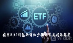 安装BitP钱包的详细步骤与常见问题解析