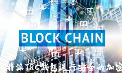 
如何使用B特派TRC钱包进行安全的加密货币交易