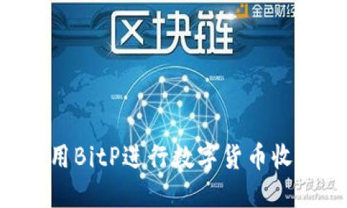 如何高效使用BitP进行数字货币收币：完整指南