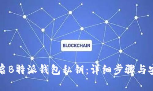 如何开启B特派钱包私钥：详细步骤与安全提示