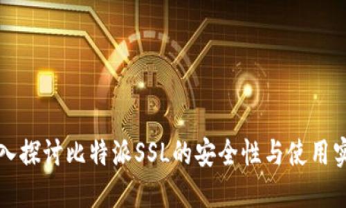深入探讨比特派SSL的安全性与使用实践