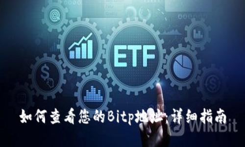 如何查看您的Bitp地址：详细指南