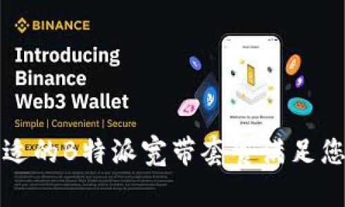 如何选择合适的B特派宽带套餐满足您的上网需求