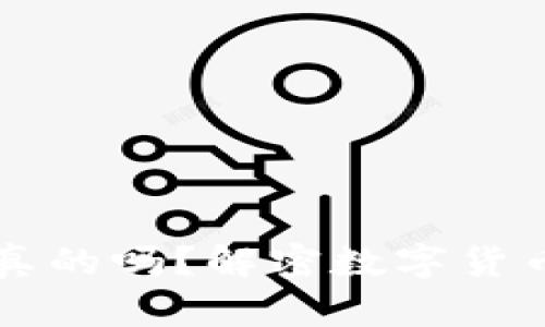 比特派钱包丢币是真的吗？解密数字货币安全性与存储方式