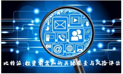 比特派：投资前需知的关键要素与风险评估