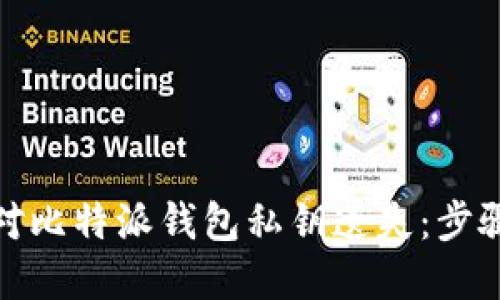 如何应对比特派钱包私钥遗失：步骤与建议