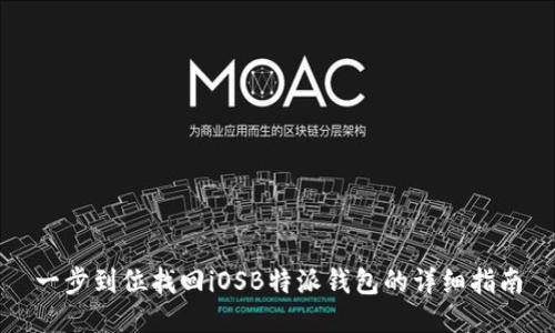 一步到位找回iOSB特派钱包的详细指南
