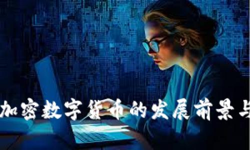 中资加密数字货币的发展前景与挑战