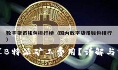 如何计算B特派矿工费用？详解与实用指南