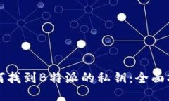 如何找到B特派的私钥：全面指南