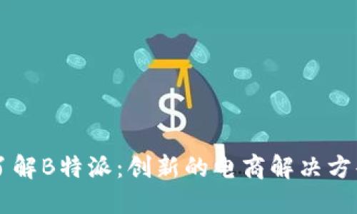 深入了解B特派：创新的电商解决方案平台