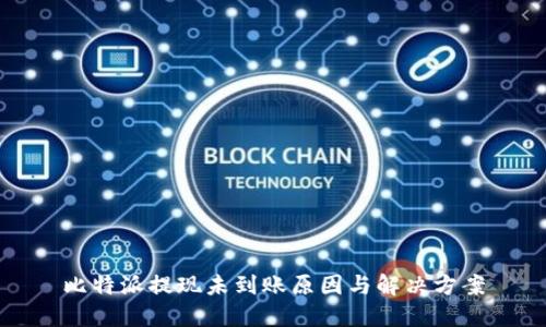 比特派提现未到账原因与解决方案