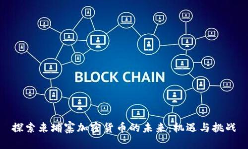 探索柬埔寨加密货币的未来：机遇与挑战