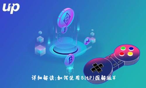 详细解读：如何使用BitP（图解版）